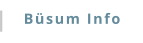 Büsum Info