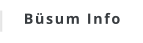 Büsum Info